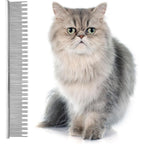Eye Envy ProGlide 6 inch cat deshedding comb front view