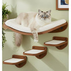 Lamooshik Cat Wall Shelves Walnut Floating Cat Furniture With Curved Bed And Steps Set Of 4 For Indoor Cats
