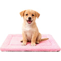 Sunshe Reversible Dog Bed Mat Ultra Soft Kennel Pad Machine Washable Crate Liner For Dogs And Cats Pink 24 Inches Length By 18 Inches Width