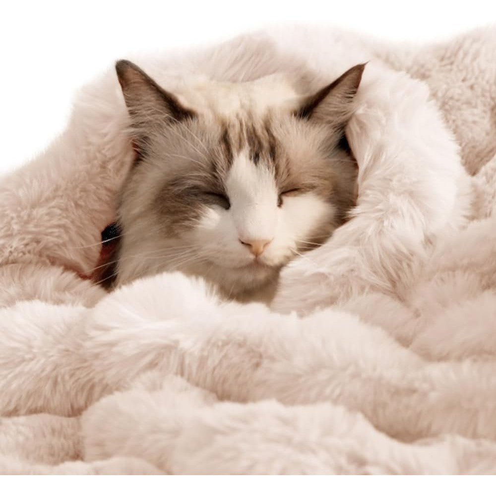 SOMAHE Reversible Sherpa And Bubble Fleece Cat Blanket Ultra Soft Plush Kitten Pet Throw Protector For Couch Furniture White 21 Inch By 18 Inch