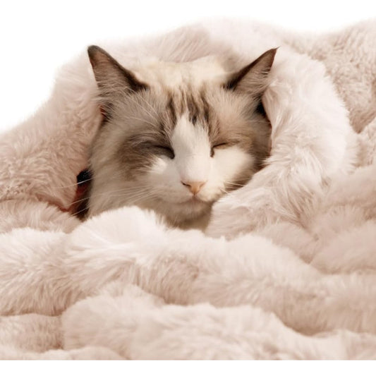 SOMAHE Reversible Sherpa And Bubble Fleece Cat Blanket Ultra Soft Plush Kitten Pet Throw Protector For Couch Furniture White 21 Inch By 18 Inch