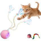 Molxiobul interactive rolling pet ball front view pink