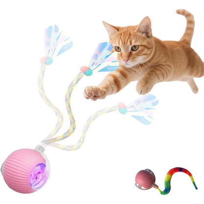 Molxiobul interactive rolling pet ball front view pink