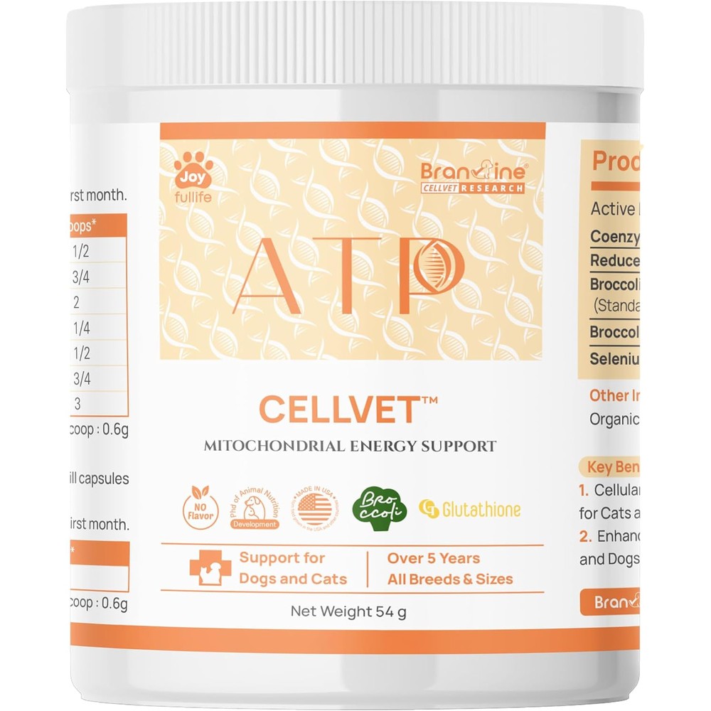 Branvine ATP CellVet mitochondrial energy support powder front view