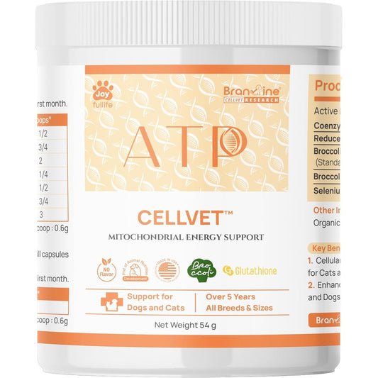 Branvine ATP CellVet mitochondrial energy support powder front view