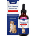 Wellix joint supplement liquid bottle front view for dogs and cats.