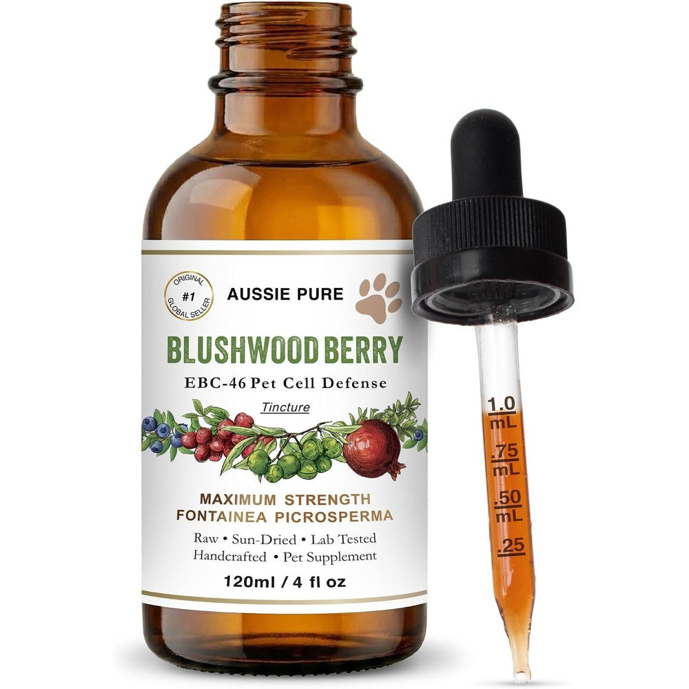 Aussie Pure Blushwood Berry EBC-46 Tincture 120ml front view bottle