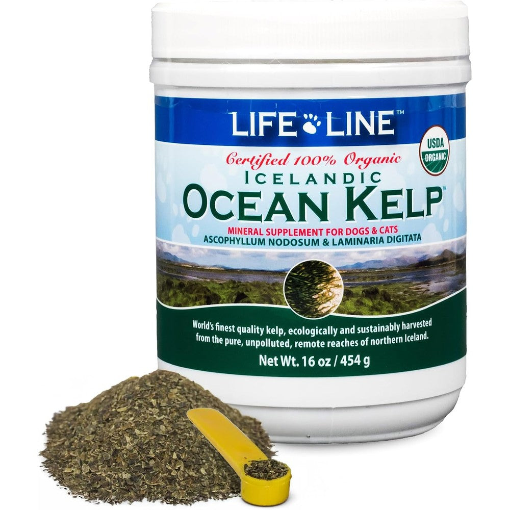 Life Line USDA Certified Organic Ocean Kelp 16 ounce canister front view