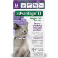 Bayer Advantage II Flea Control Large Cat packaging front view authentic topical flea prevention.