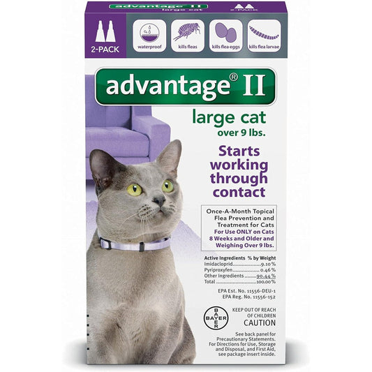 Bayer Advantage II Flea Control Large Cat packaging front view authentic topical flea prevention.