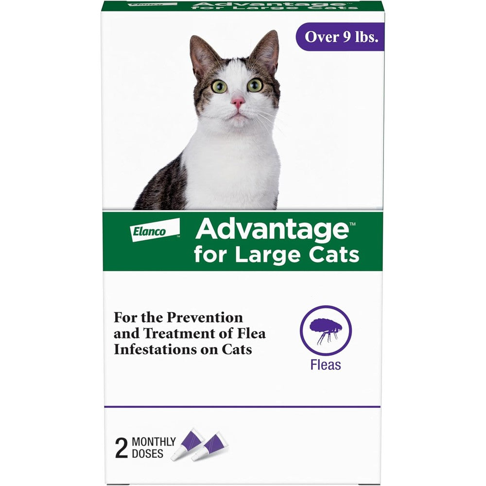 Advantage Topical Cat Flea Treatment front view packaging for large cats over 9 pounds
