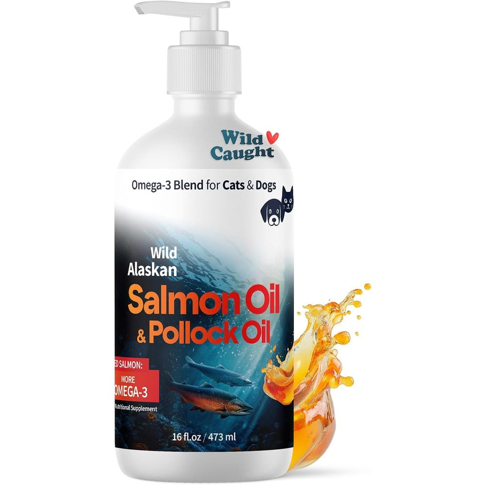 Pet Honesty Wild Alaskan Salmon Oil front view of the sixteen fluid ounce pump bottle on a clean background.