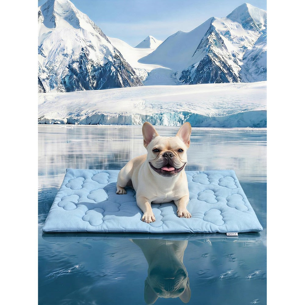 Huafly Dog Cooling Mat Dual Sided Self Cooling Pet Cushion Fabric For Summer And Velvet For All Seasons Cloud Blue Medium Size