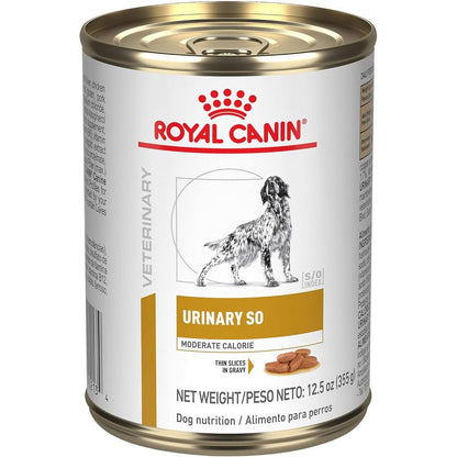 Royal Canin Veterinary Diet Canine Urinary SO Moderate Calorie Adult Thin Slices In Gravy Canned Wet Dog Food Twelve Point Five Ounce Pack Of Twelve