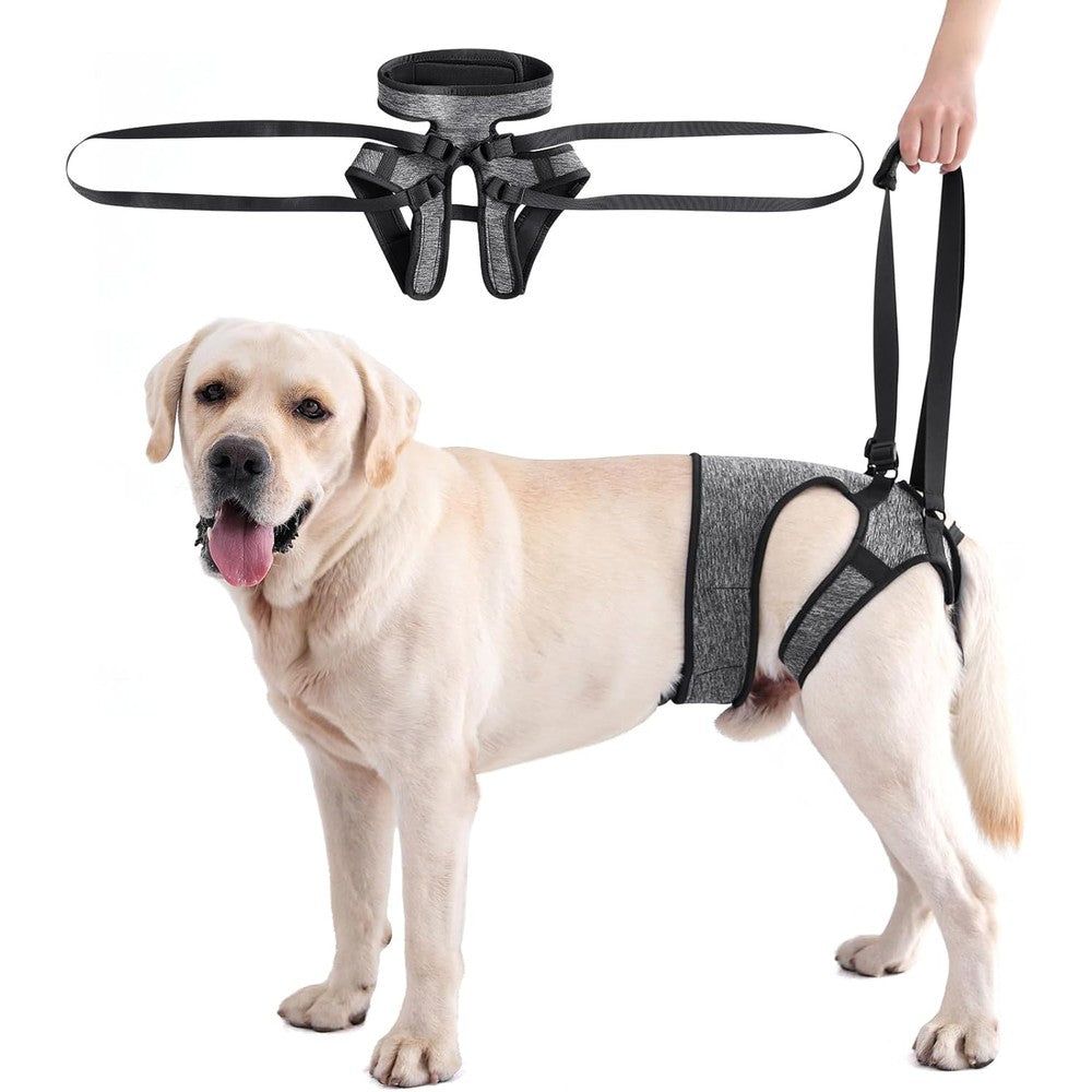 Lianzimau Dog Sling For Large Dogs Adjustable Hind Leg Support Lift Harness Senior Canine Mobility Aid For Back Legs Walking Rehabilitation XL Size