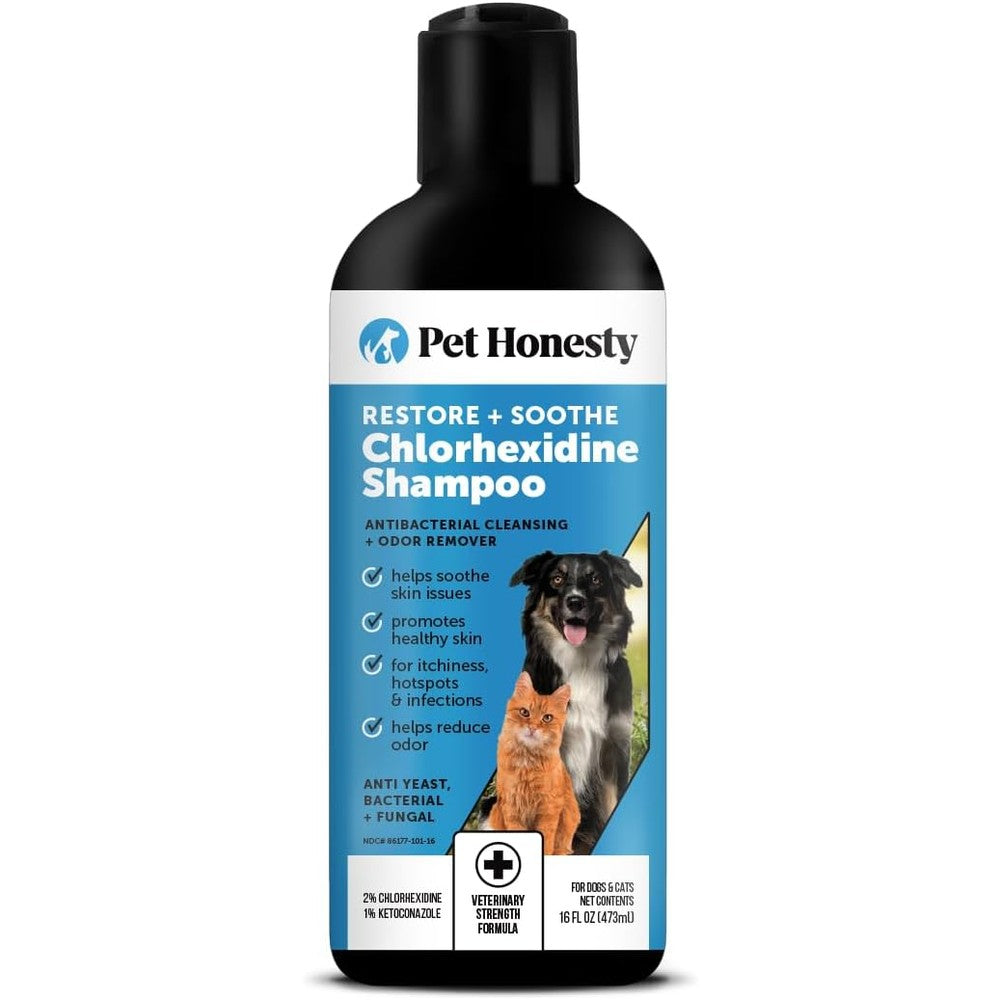 Pet Honesty Chlorhexidine Cat And Dog Seasonal Itch Relief Shampoo For Allergies And Hot Spots With Aloe Vera 16 Fluid Ounce