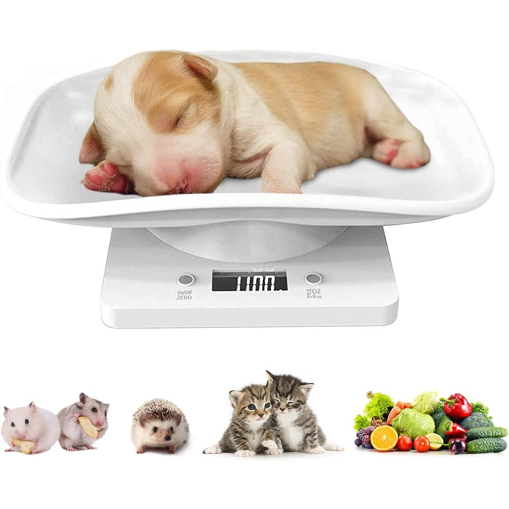 DWSFADA Digital Small Animal And Reptile Weight Scale With Precision Grams LED Display For Puppies Kittens And Food Thirty Three Pounds Capacity