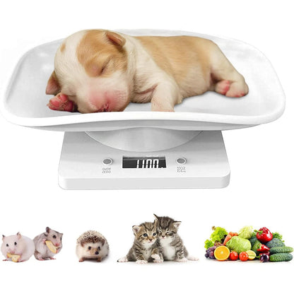 DWSFADA Digital Small Animal And Reptile Weight Scale With Precision Grams LED Display For Puppies Kittens And Food Thirty Three Pounds Capacity