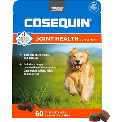 Nutramax Laboratories Cosequin DS Plus MSM Professional Line Joint Health Supplement For Dogs, 60 Soft Chews