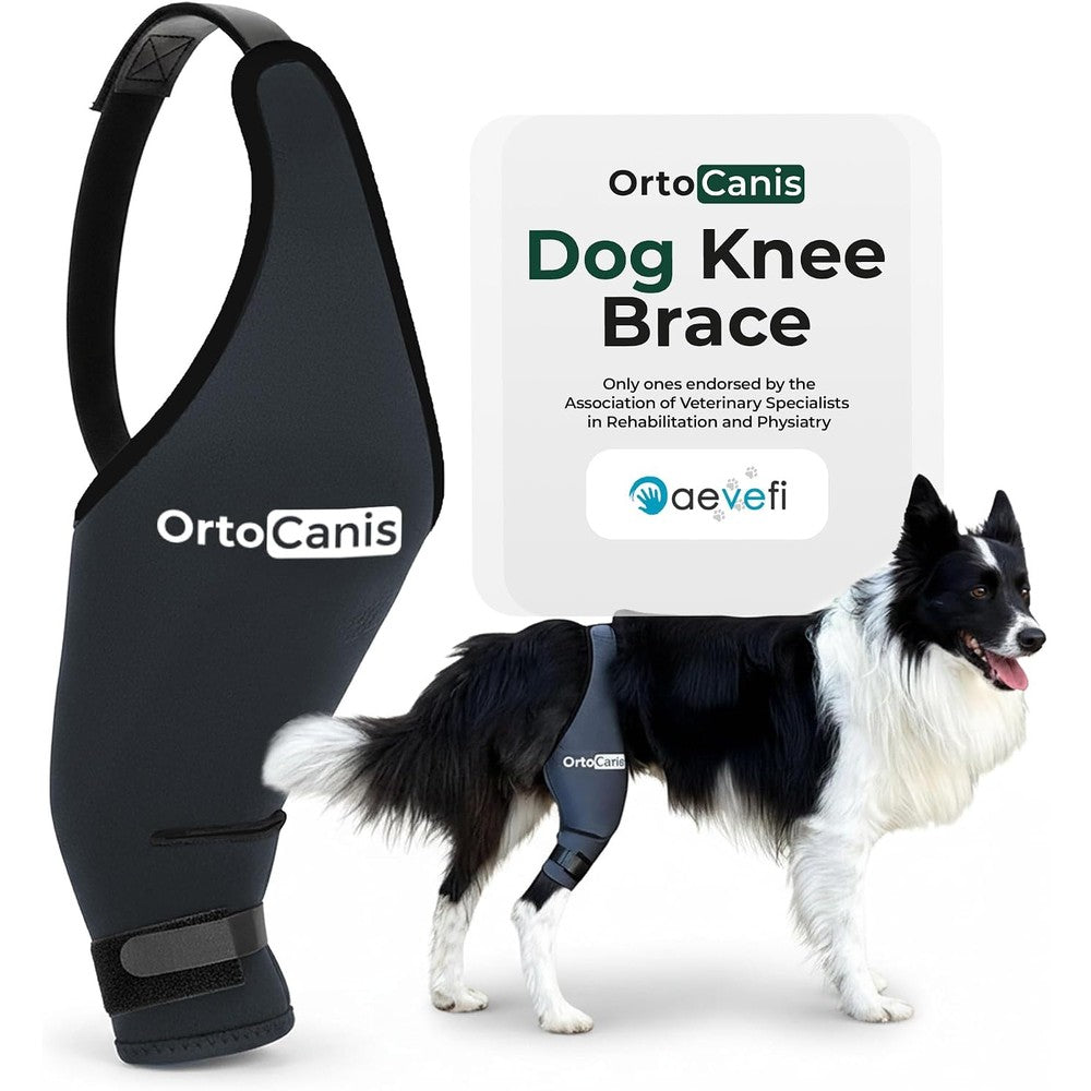 Ortocanis Dog Knee Brace For Hind Leg Support Flexible Neoprene Orthopedic Support For Joint Instability And Torn ACL Large Size Left Leg