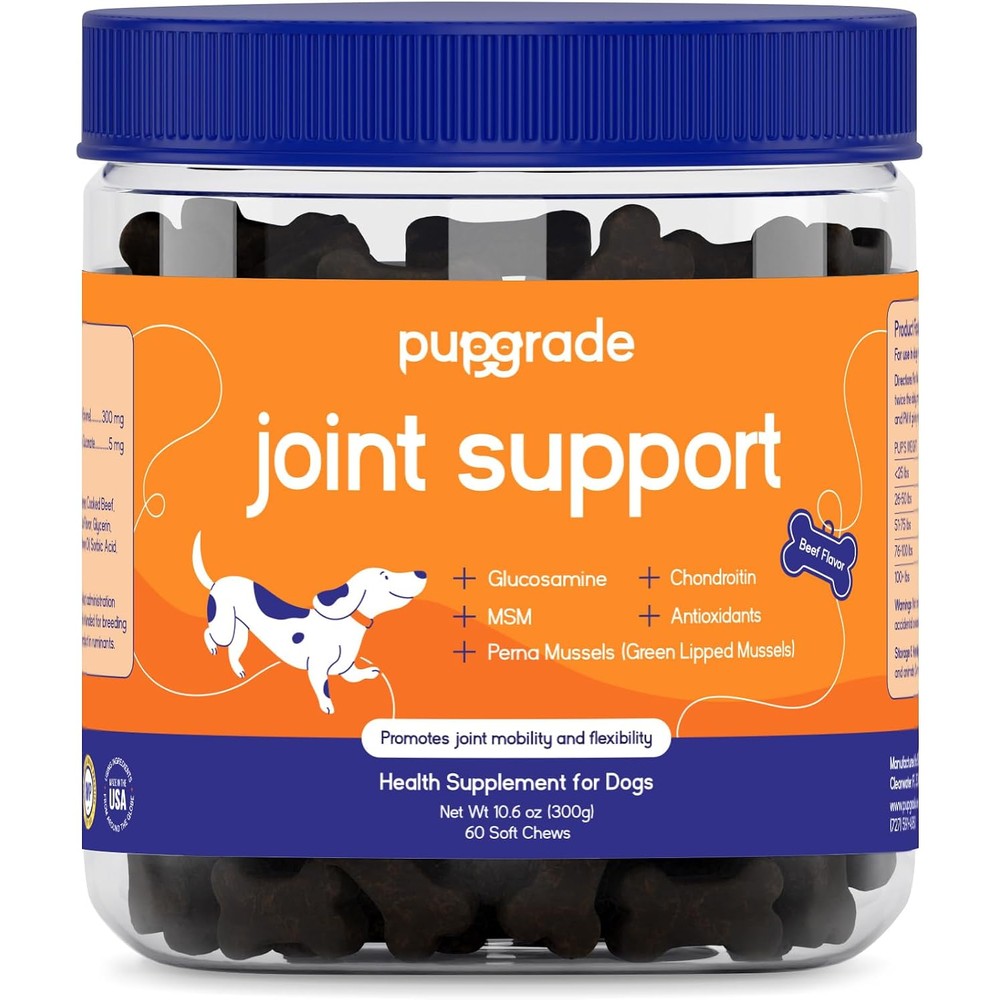 PupGrade Joint Support Supplement For Dogs Glucosamine And Chondroitin With Methylsulfonylmethane And Perna Mussels Beef Flavor 120 Soft Chews
