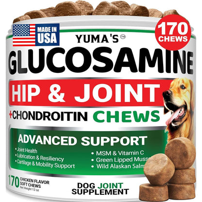 YUMA'S Glucosamine For Dogs Hip And Joint Supplement Advanced Health Mobility Support Soft Chews Chicken Flavor 170 Count