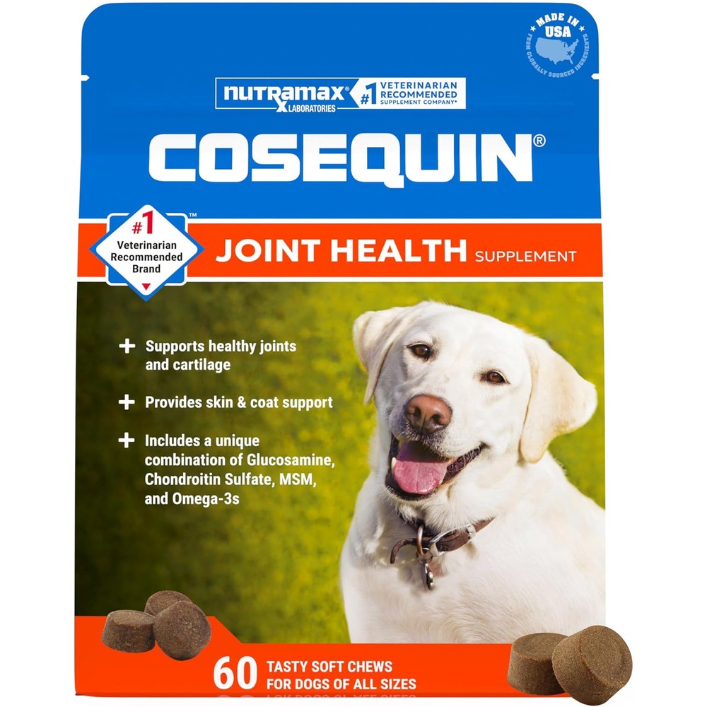 Nutramax Cosequin Maximum Strength Joint Health Supplement For Dogs With Glucosamine Chondroitin Methylsulfonylmethane And Omega Three 60 Soft Chews