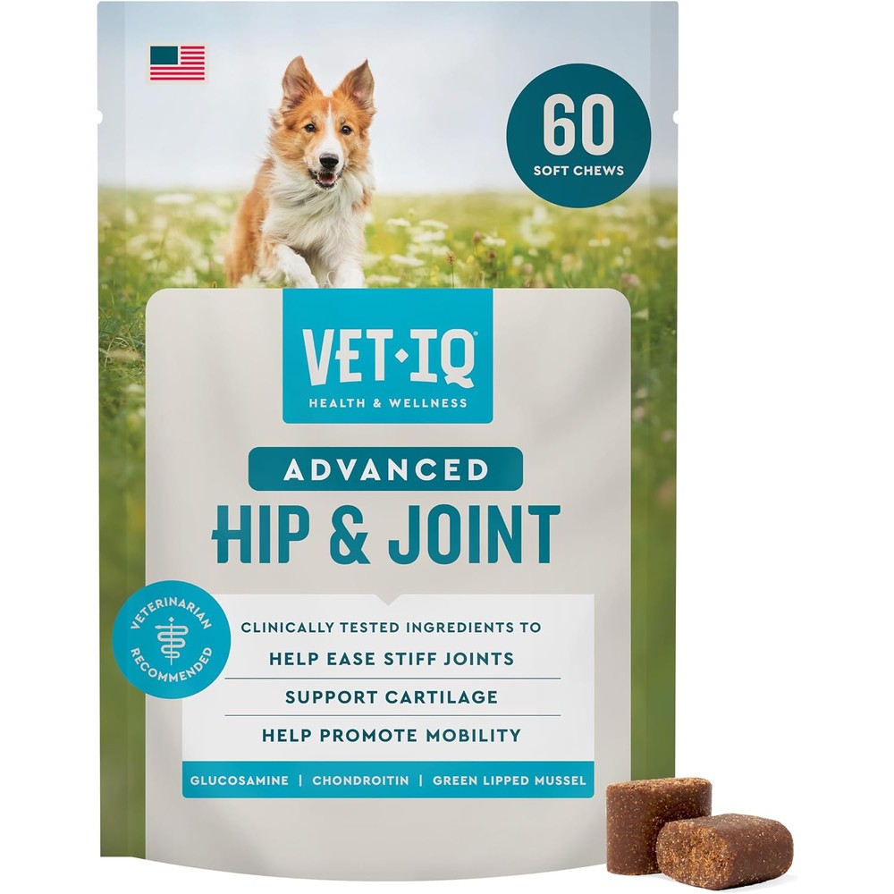 VetIQ Advanced Hip And Joint Chews For Dogs Chicken Flavored Supplement With Glucosamine Chondroitin Omega Three MSM Green Lipped Mussel 60 Count