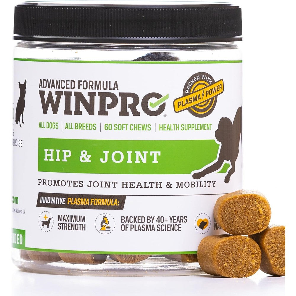 WINPRO Mobility Hip And Joint Supplement For Dogs Plasma Powered Soft Chews For Canine Joint Health And Mobility Sixty Count Pouch