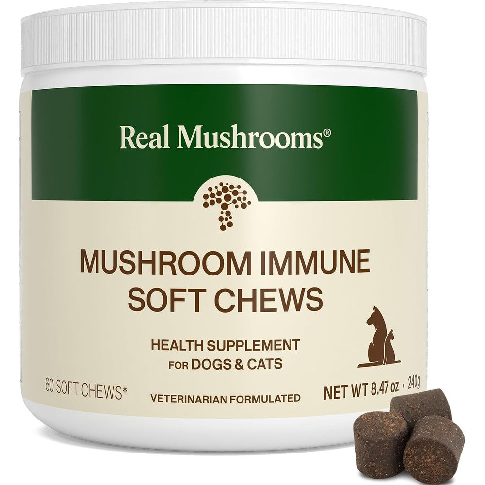 Real Mushrooms Immune Pet Chews For Daily Digestive And Immune Health Organic Mushroom Supplement Soft Treats For Dogs And Cats 60 Count