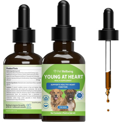 Pet Wellbeing Young At Heart For Dogs Senior Heart Health Support Liquid Formula Cardiovascular Wellness With Hawthorn And Motherwort Two Fluid Ounces