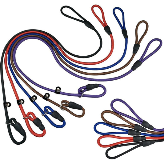 FOVRLZSE Nylon Slip Lead Dog Leash Five Pack Red Black Blue Brown Purple Four Point Six Foot Training Leash For Small To Medium Dogs
