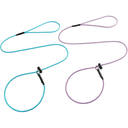 Fursdoly Reflective Slip Lead Puppy Training Leash Set of Two 4.3 Millimeter 12 Core Paracord Rope 1000 Pound Pull Force Purple and Light Blue 4 Feet