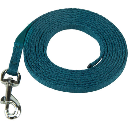 Coachi Puppy And Mini Training Line Lightweight Indoor House Lead For Toilet Training Teal 2.5 Meters