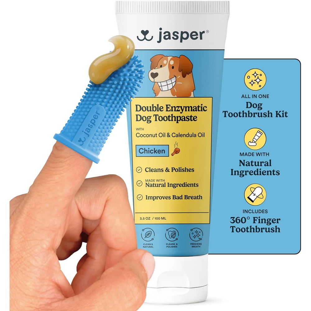 Jasper Dog Tooth Brushing Kit And Enzymatic Toothpaste Kit With Three Hundred Sixty Degree Finger Toothbrush Plaque Remover Chicken Flavor Two Ounce