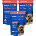 Ark Naturals Protection+ Brushless Toothpaste For Mini Breeds Bundle Fortified Dog Dental Chew With Toothpaste Center 4 Ounces 3 Pack