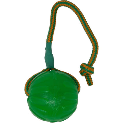 StarMark Everlasting Fun Ball On A Rope Dog Toy Virtually Indestructible Chew And Fetch Toy Medium Large Variant Green Color One Count