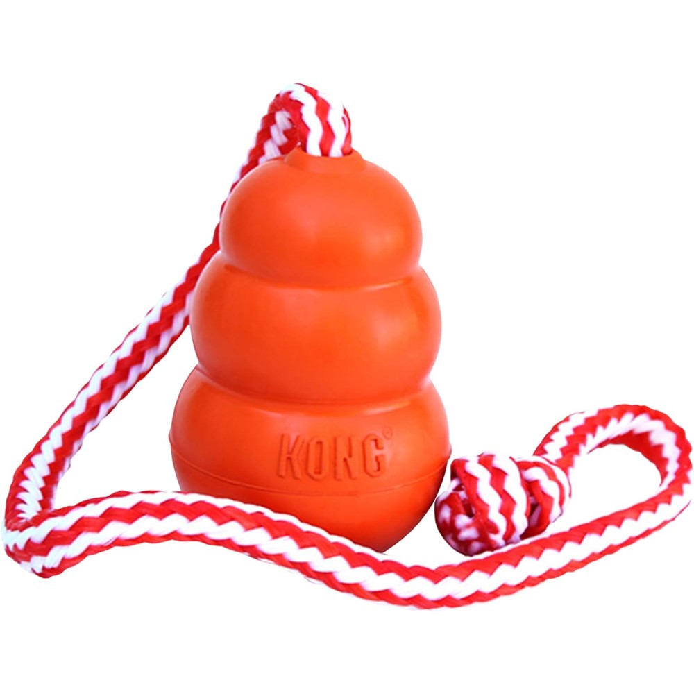 KONG Aqua floating fetch toy front view