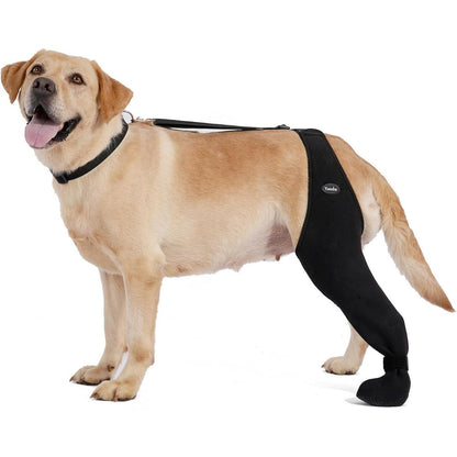 Yoneba Dog Socks To Prevent Licking Paws Breathable Leg Sleeve And Recovery Protector For Dogs XL Left Leg Adjustable Waterproof Material
