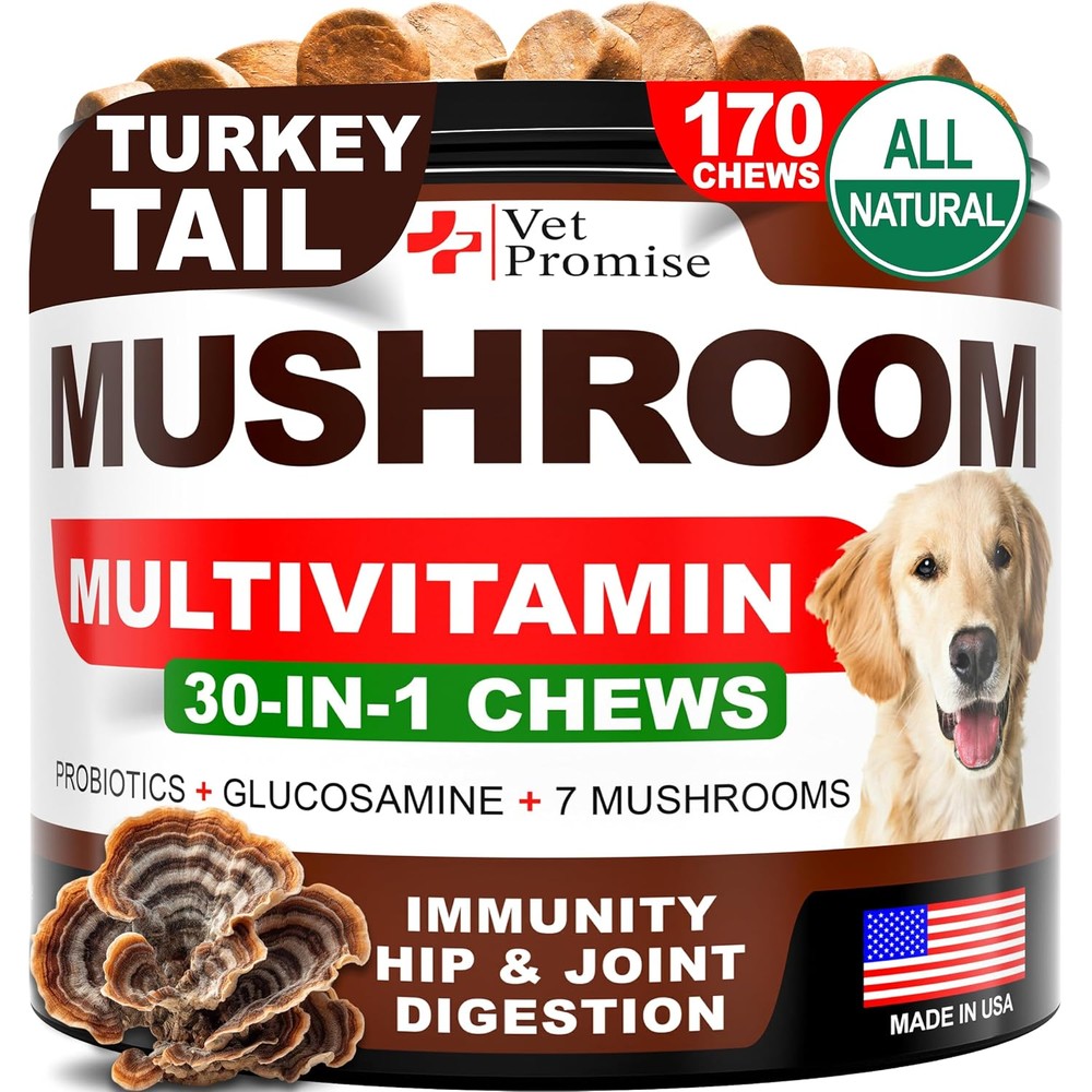 Vet Promise Turkey Tail Mushroom Supplement For Dogs 170 Heart Shaped Soft Chews With Lions Mane And Reishi For Immune Joint And Gut Health