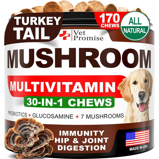 Vet Promise Turkey Tail Mushroom Supplement For Dogs 170 Heart Shaped Soft Chews With Lions Mane And Reishi For Immune Joint And Gut Health
