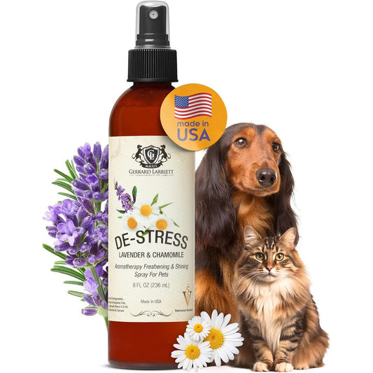 Gerrard Larriett Aromatherapy Dog Perfume Spray Long Lasting Lavender And Chamomile Calming Pet Deodorizer And Coat Conditioner 8 Fluid Ounce