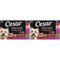 Cesar Adult Wet Dog Food Steak Lovers Variety Pack Real Meat Three Point Five Ounce Easy Peel Trays Thirty Six Count Pack Of Two