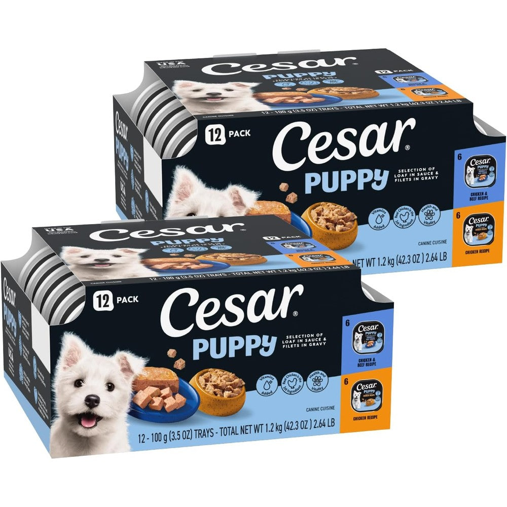 Cesar Puppy Classic Loaf And Filets Wet Dog Food Variety Pack Chicken And Beef Recipes Three Point Five Ounce Trays Twenty Four Count