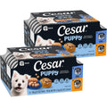 Cesar Puppy Classic Loaf And Filets Wet Dog Food Variety Pack Chicken And Beef Recipes Three Point Five Ounce Trays Twenty Four Count