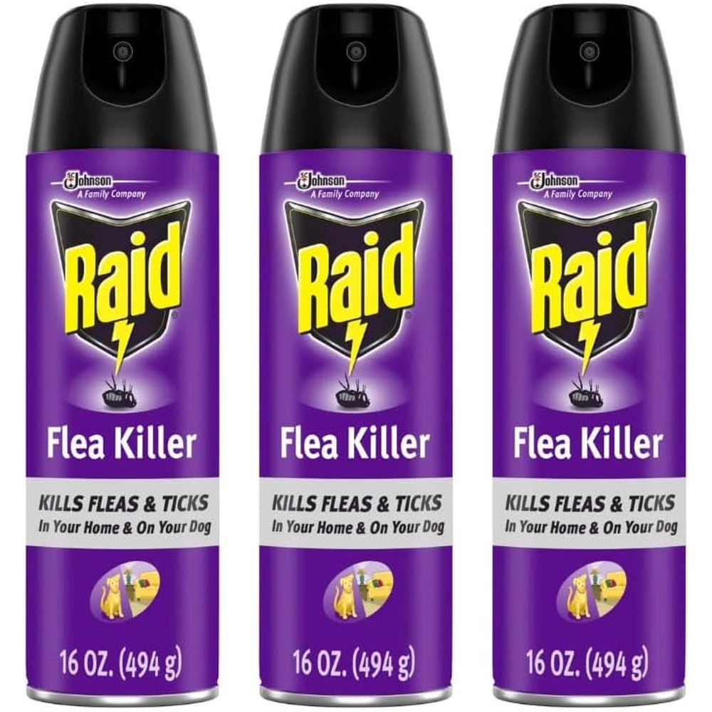 Raid Flea Killer Plus Carpet And Room Spray For Indoor Flea And Tick Control, Non Staining Formula, 16 Ounce (Pack Of 3)