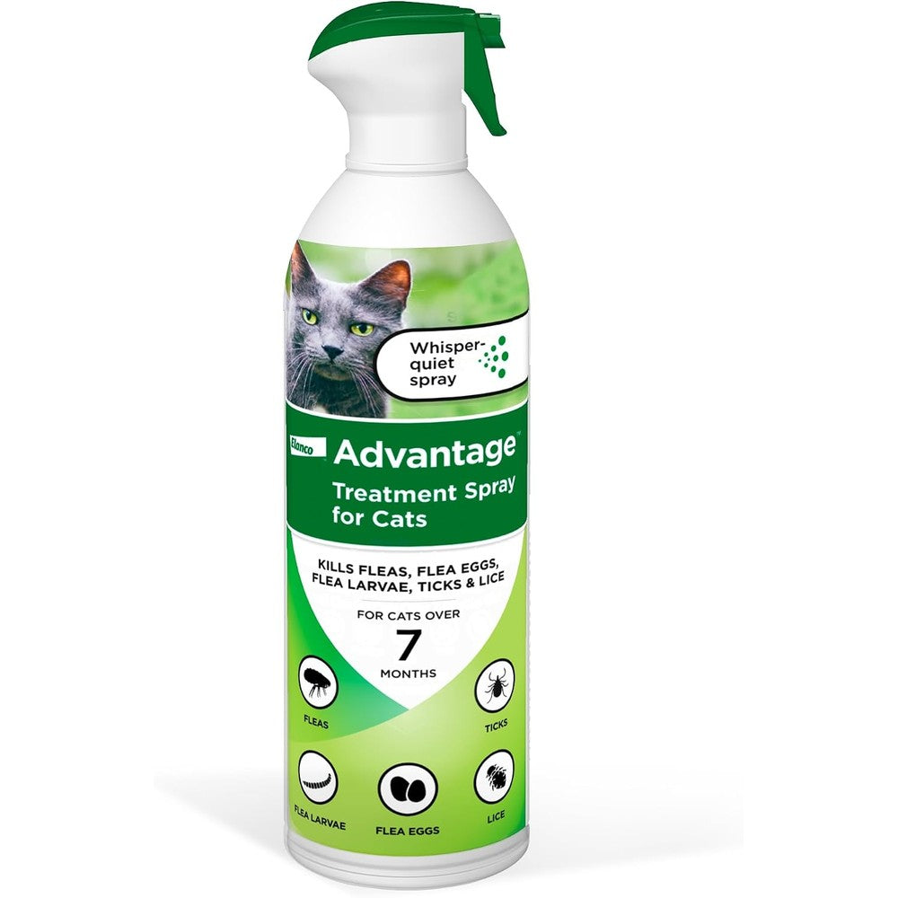 Advantage Cat Flea Treatment Spray Kills Fleas And Ticks For Cats And Kittens 8 Fluid Ounce