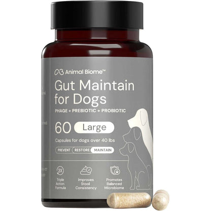 AnimalBiome Gut Maintain Probiotics For Dogs With S Boulardii, Prebiotics, And Bacteriophages For Digestive Support, 60 Capsules