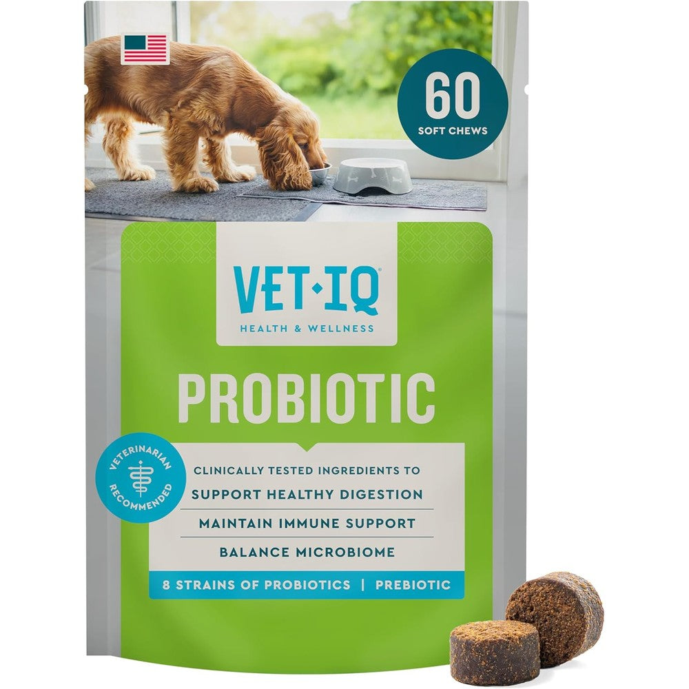 VetIQ Probiotic Supplement For Dogs Digestive Support Soft Chews With Active Cultures And Hickory Smoke Flavor 60 Count Made In USA