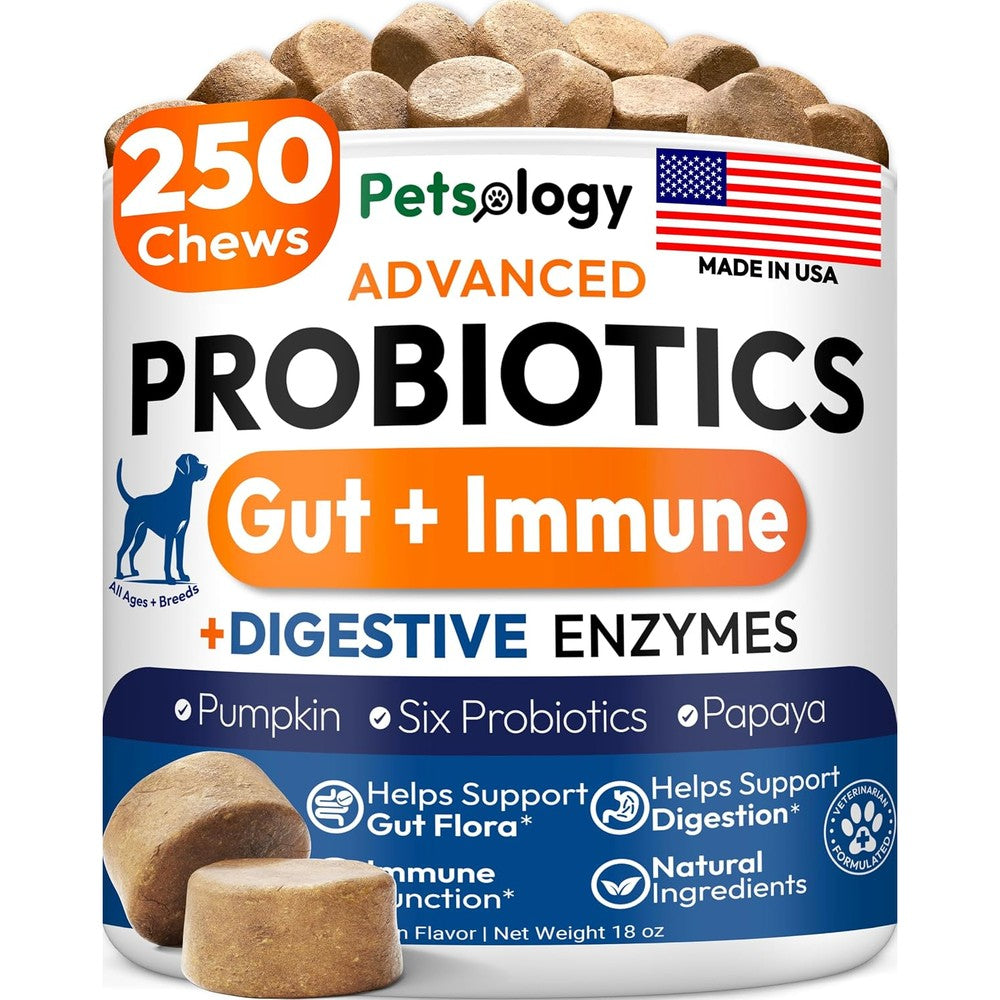 Petsology Advanced Probiotics For Dogs With Digestive Enzymes And Prebiotics 250 Chews USA Imported Formula For Gut Health And Allergy Relief